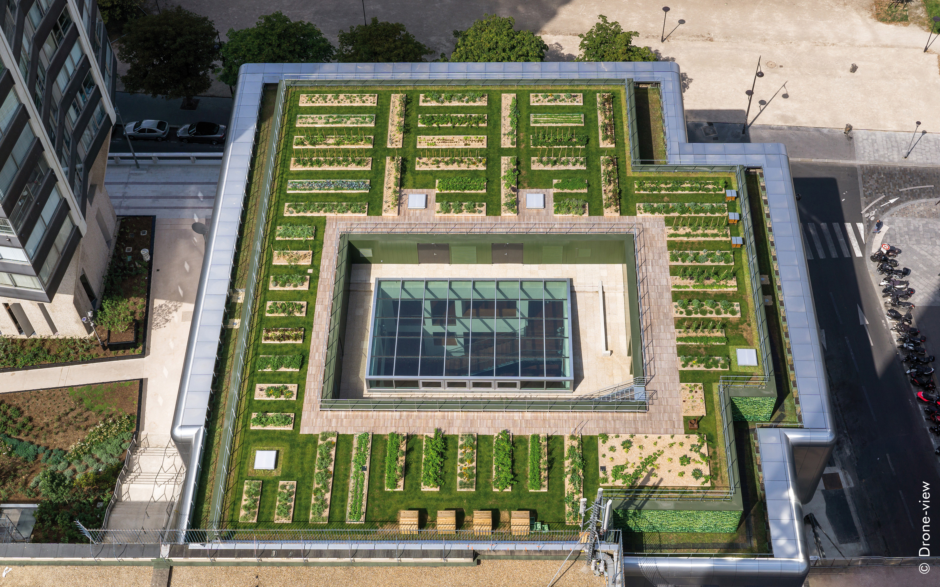 Viewed from above, the accurately arranged planting beds can be seen very well. Bird's eye view of a green roof with vegetable plant beds